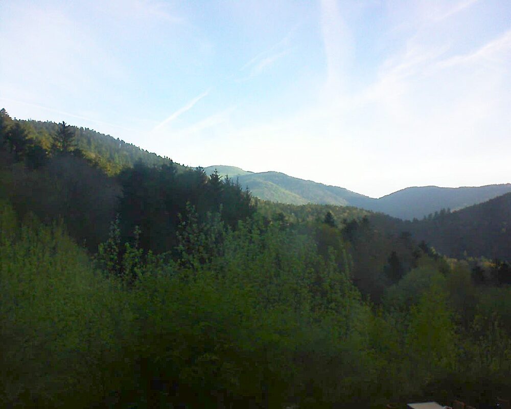 Le petit ballon (Alsace, Vosges) le 13.04.2024 à 07:45