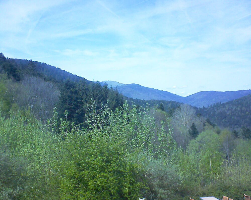 Le petit ballon (Alsace, Vosges) le 14.04.2024 à 15:15