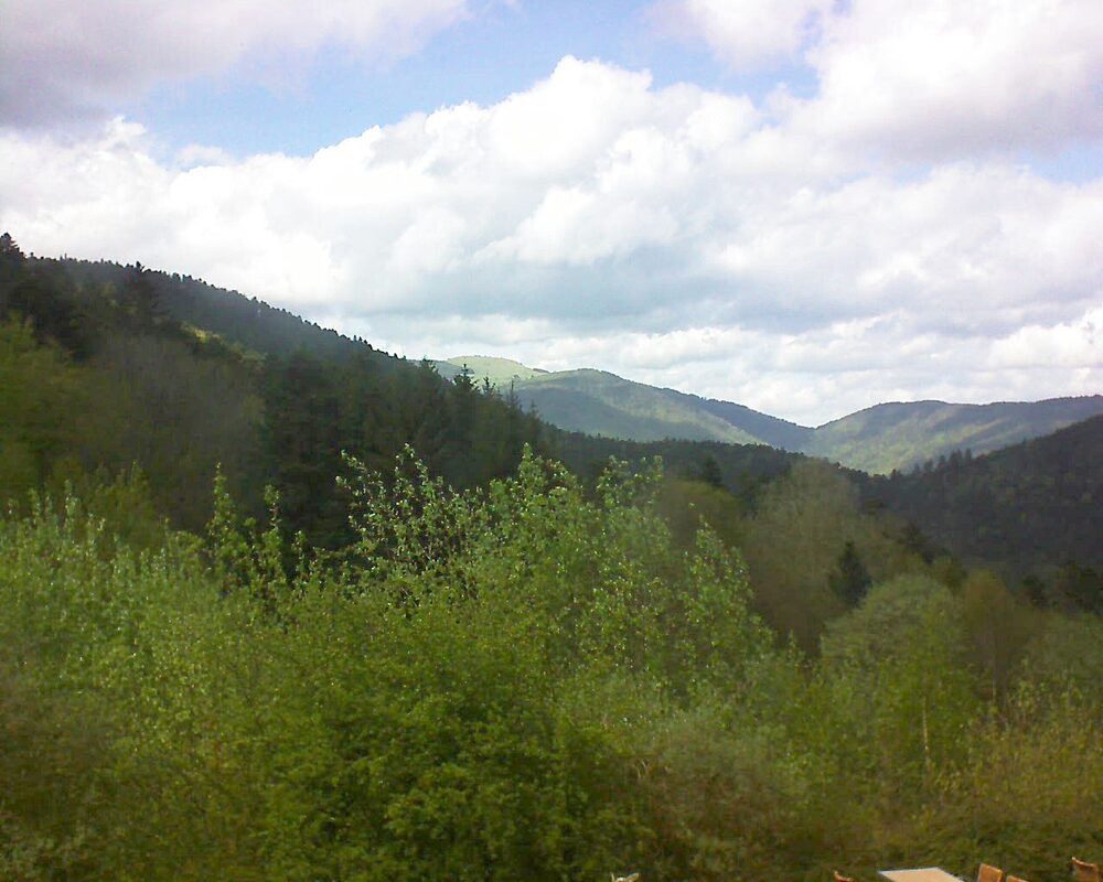 Le petit ballon vu depuis le Domaine Langmatt à Murbach le 15.04.2024 à 15:15 Le petit ballon (Alsace, Vosges) le 15.04.2024 à 15:15