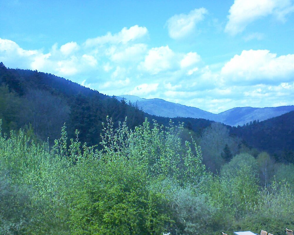Le petit ballon vu depuis le Domaine Langmatt à Murbach le 15.04.2024 à 15:30 Le petit ballon (Alsace, Vosges) le 15.04.2024 à 15:30