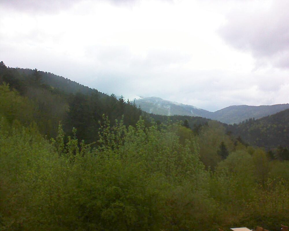 Le petit ballon (Alsace, Vosges) le 17.04.2024 à 10:15