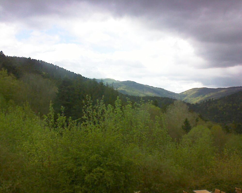 Le petit ballon (Alsace, Vosges) le 18.04.2024 à 17:00