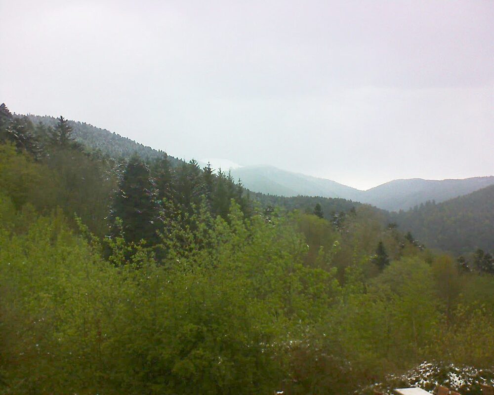 Le petit ballon vu depuis le Domaine Langmatt à Murbach le 22.04.2024 à 16:15 Le petit ballon (Alsace, Vosges) le 22.04.2024 à 16:15