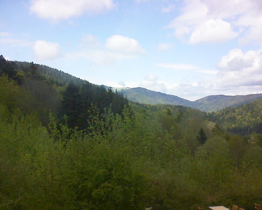 Le petit ballon (Alsace, Vosges) le 24.04.2024 à 15:15