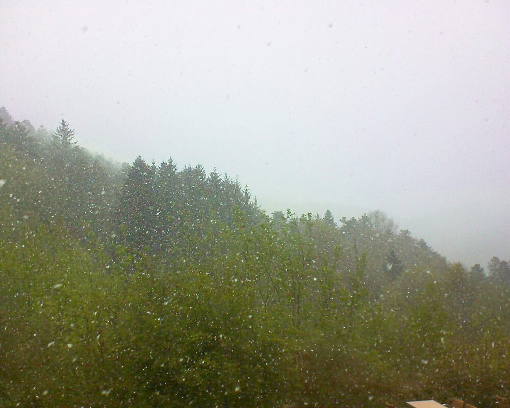 Le petit ballon (Alsace, Vosges) le 24.04.2024 à 17:00