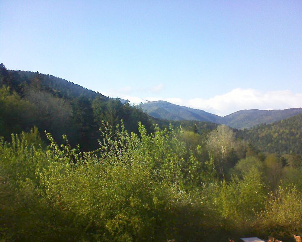 Le petit ballon vu depuis le Domaine Langmatt à Murbach le 24.04.2024 à 18:00 Le petit ballon (Alsace, Vosges) le 24.04.2024 à 18:00
