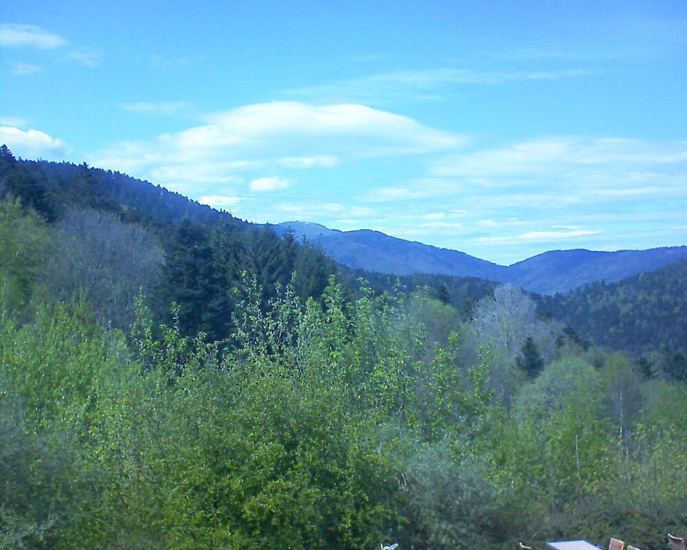 Le petit ballon (Alsace, Vosges) le 27.04.2024 à 15:15