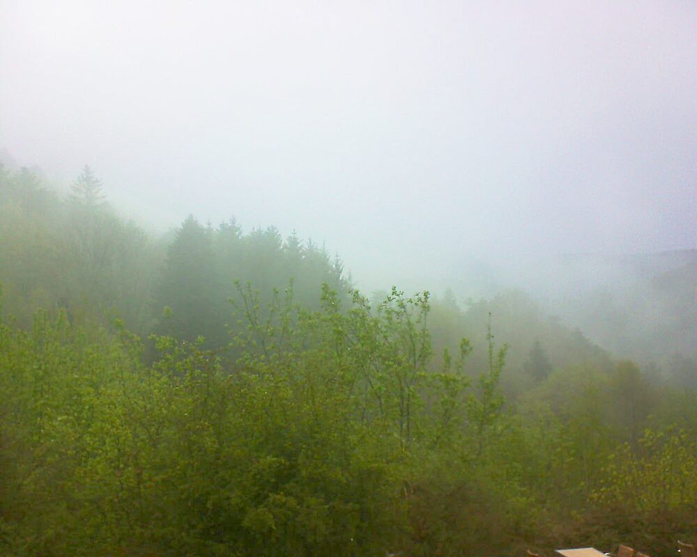 Le petit ballon (Alsace, Vosges) le 28.04.2024 à 18:45