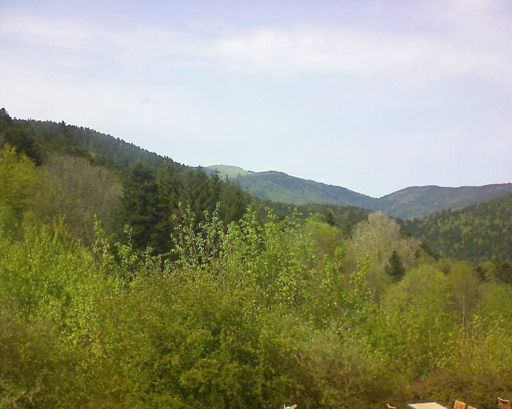Le petit ballon vu depuis le Domaine Langmatt à Murbach le 29.04.2024 à 15:30 Le petit ballon (Alsace, Vosges) le 29.04.2024 à 15:30
