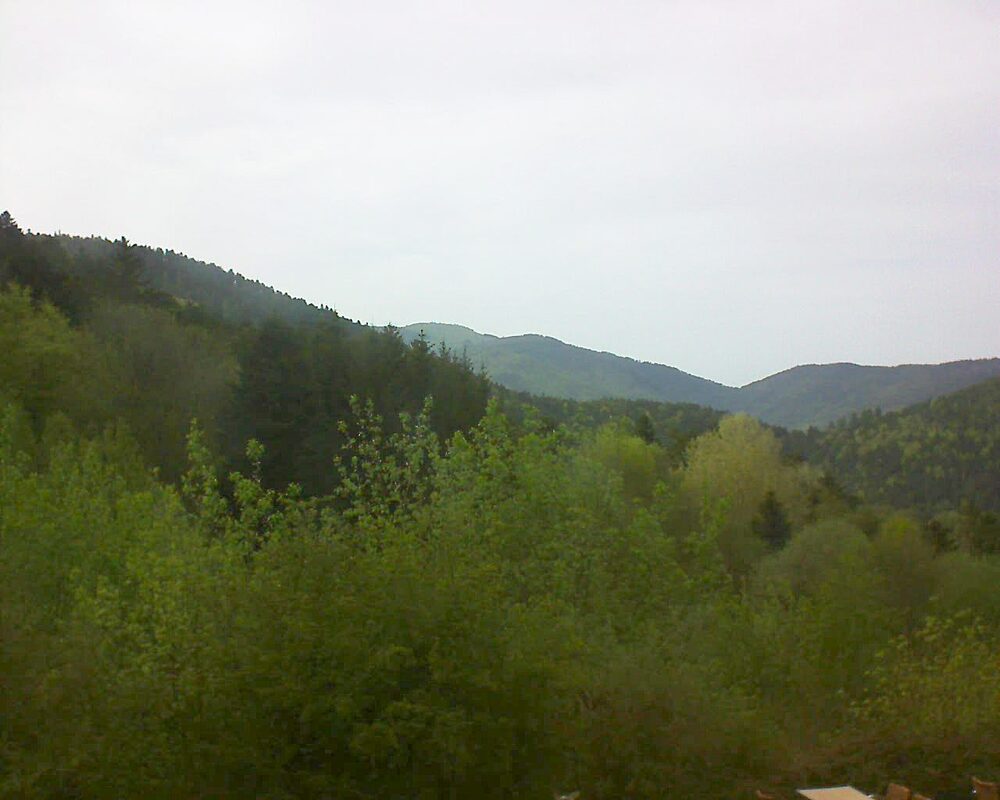 Le petit ballon (Alsace, Vosges) le 30.04.2024 à 18:15