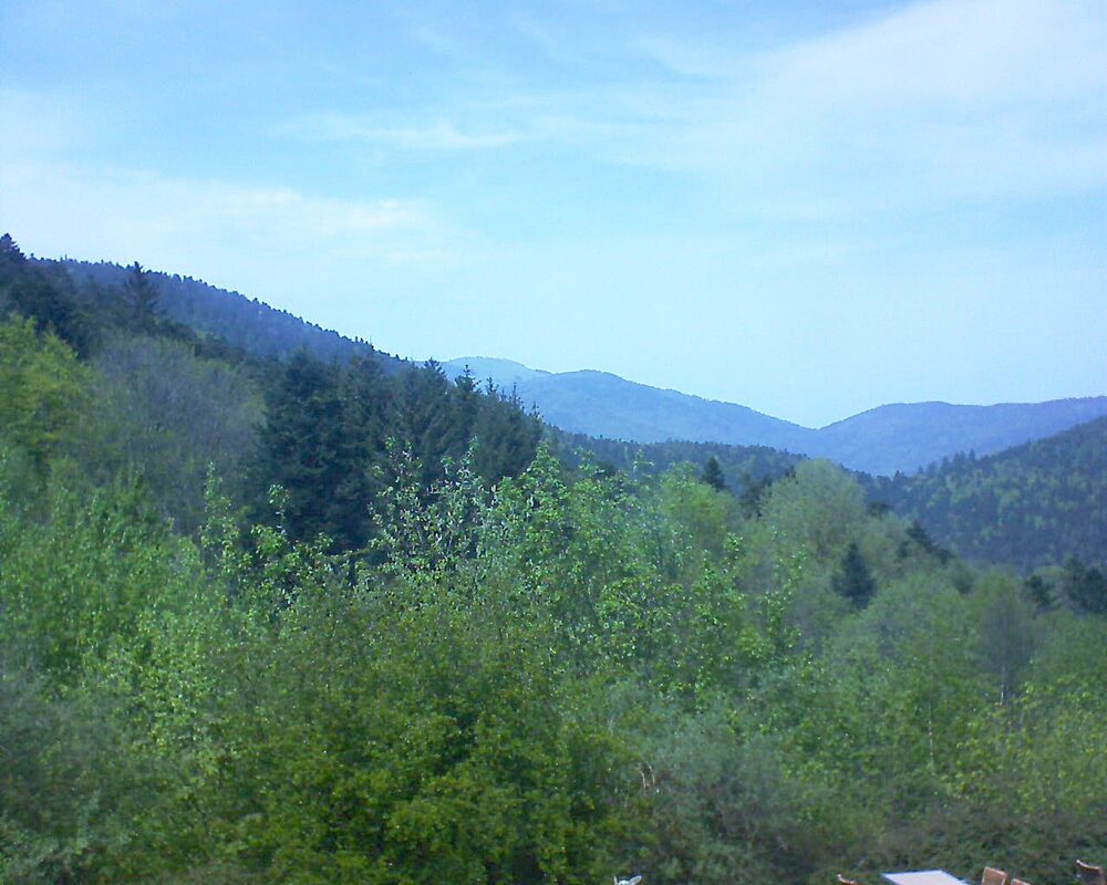 Le petit ballon vu depuis le Domaine Langmatt à Murbach le 01.05.2024 à 14:30 Le petit ballon (Alsace, Vosges) le 01.05.2024 à 14:30