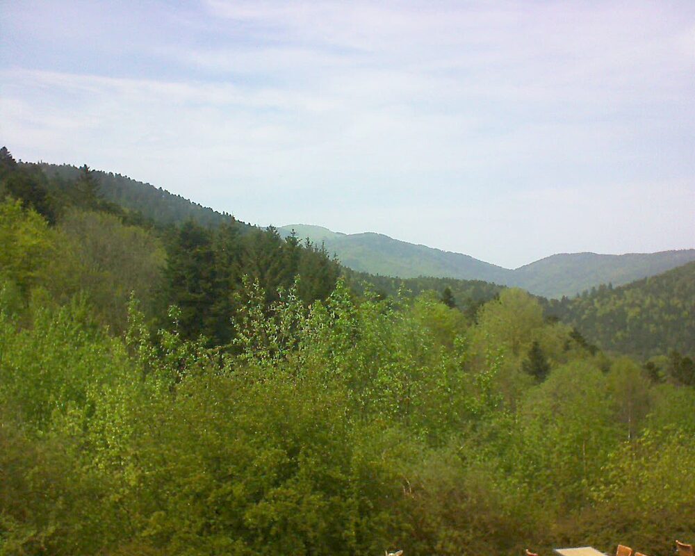 Le petit ballon vu depuis le Domaine Langmatt à Murbach le 01.05.2024 à 15:15 Le petit ballon (Alsace, Vosges) le 01.05.2024 à 15:15