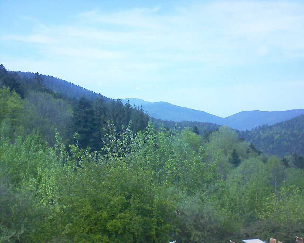 Le petit ballon vu depuis le Domaine Langmatt à Murbach le 01.05.2024 à 15:30 Le petit ballon (Alsace, Vosges) le 01.05.2024 à 15:30