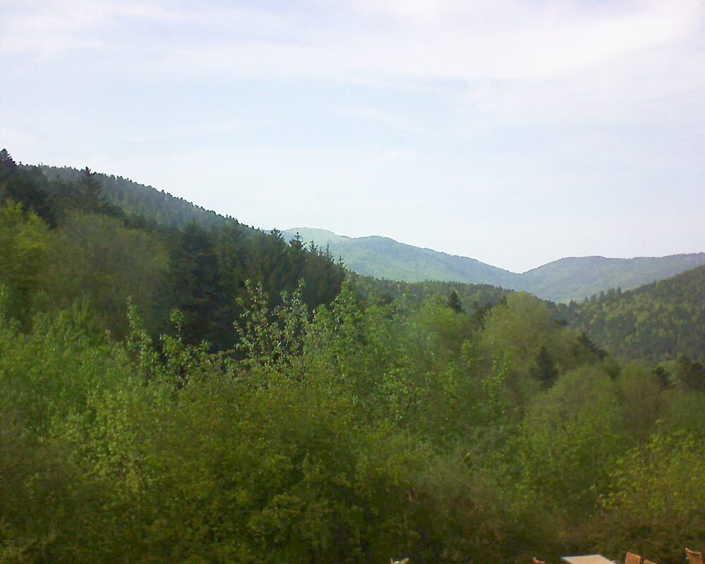 Le petit ballon vu depuis le Domaine Langmatt à Murbach le 01.05.2024 à 16:30 Le petit ballon (Alsace, Vosges) le 01.05.2024 à 16:30