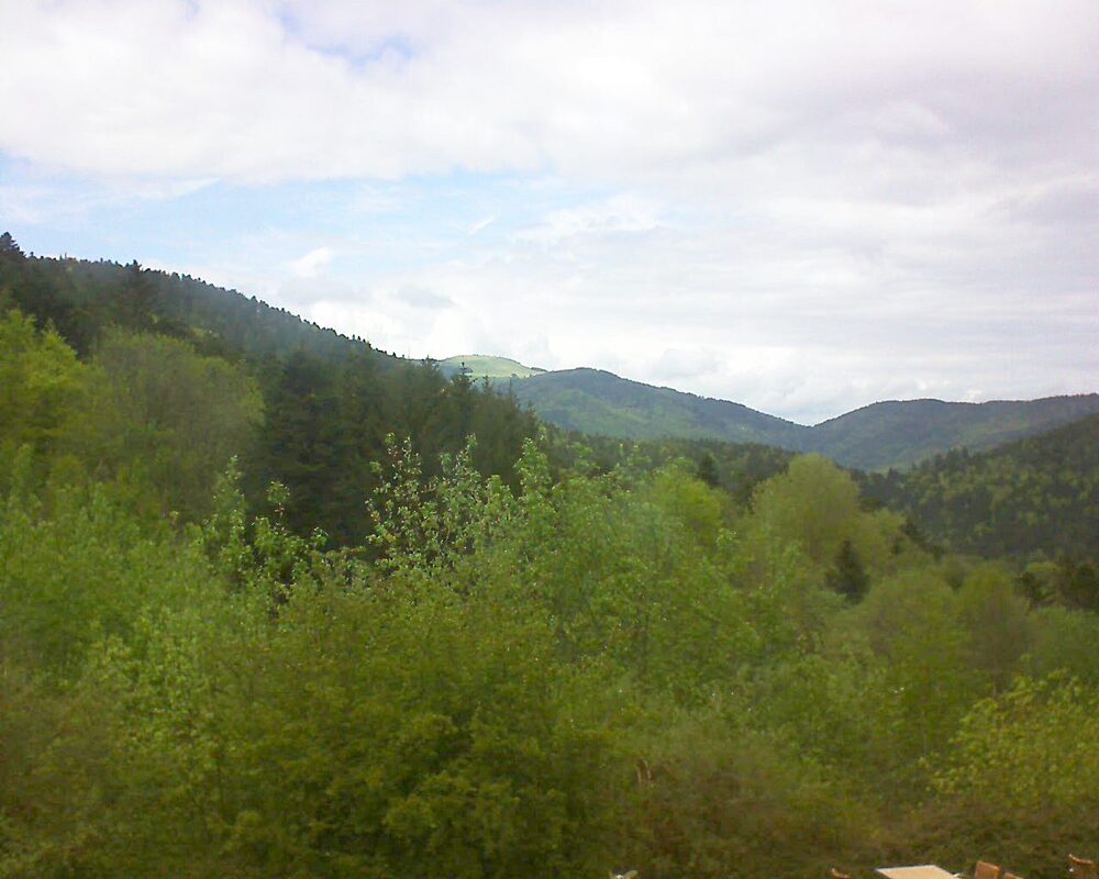 Le petit ballon (Alsace, Vosges) le 03.05.2024 à 15:00