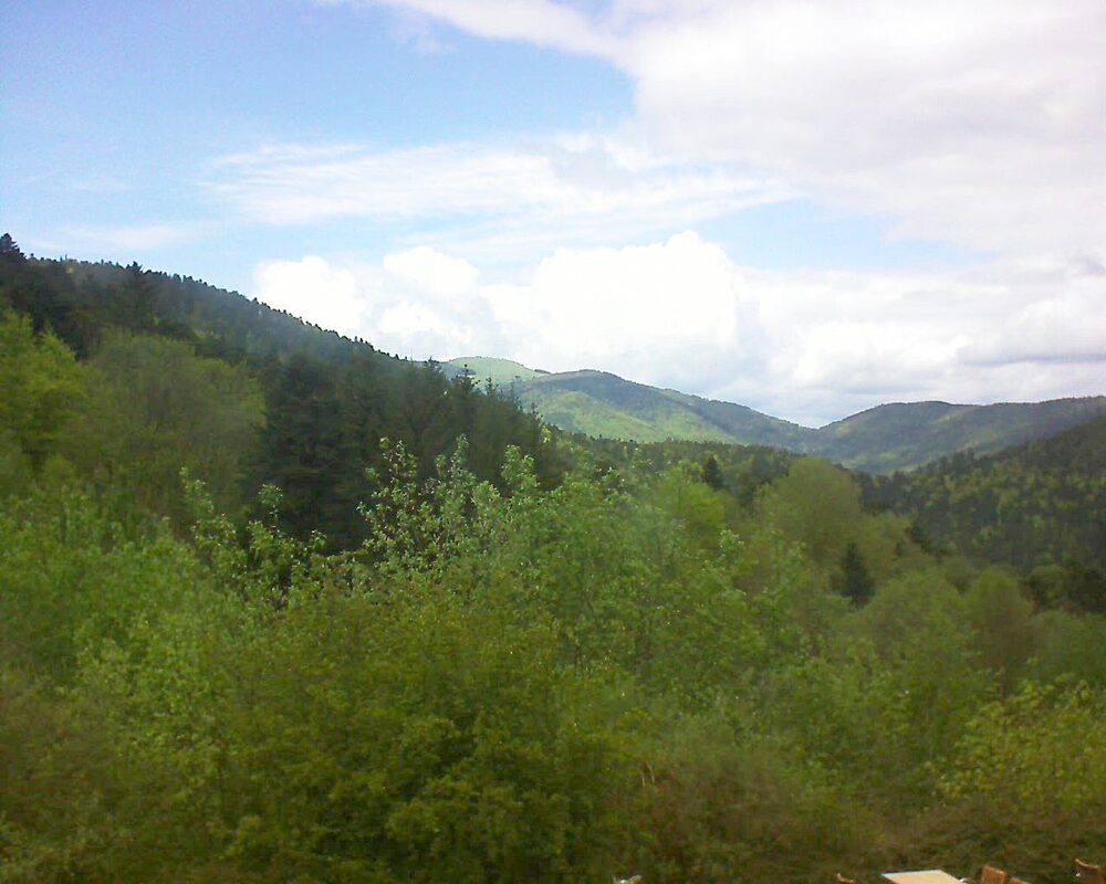 Le petit ballon (Alsace, Vosges) le 03.05.2024 à 15:15