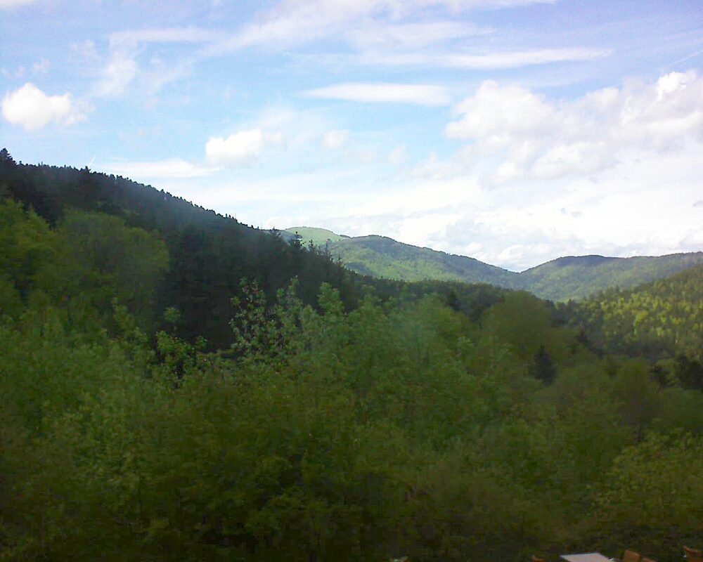 Le petit ballon (Alsace, Vosges) le 05.05.2024 à 16:15