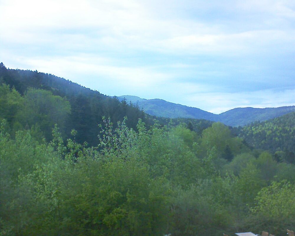 Le petit ballon (Alsace, Vosges) le 05.05.2024 à 18:15