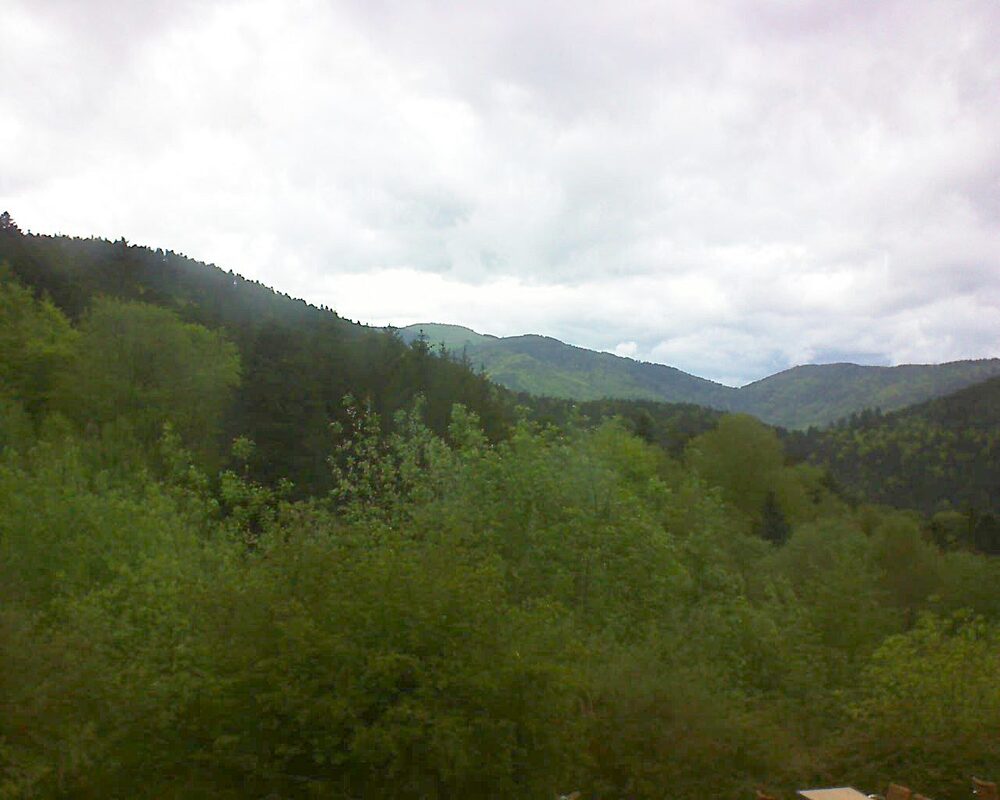 Le petit ballon (Alsace, Vosges) le 07.05.2024 à 14:00