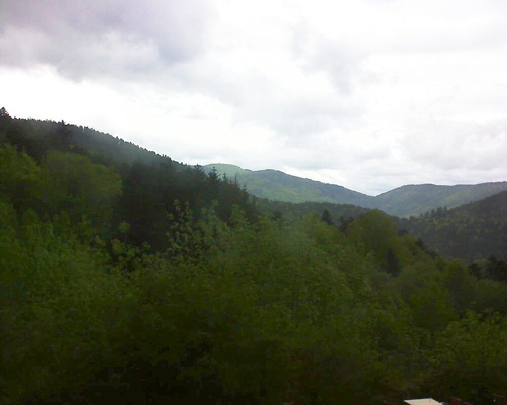 Le petit ballon (Alsace, Vosges) le 07.05.2024 à 15:15