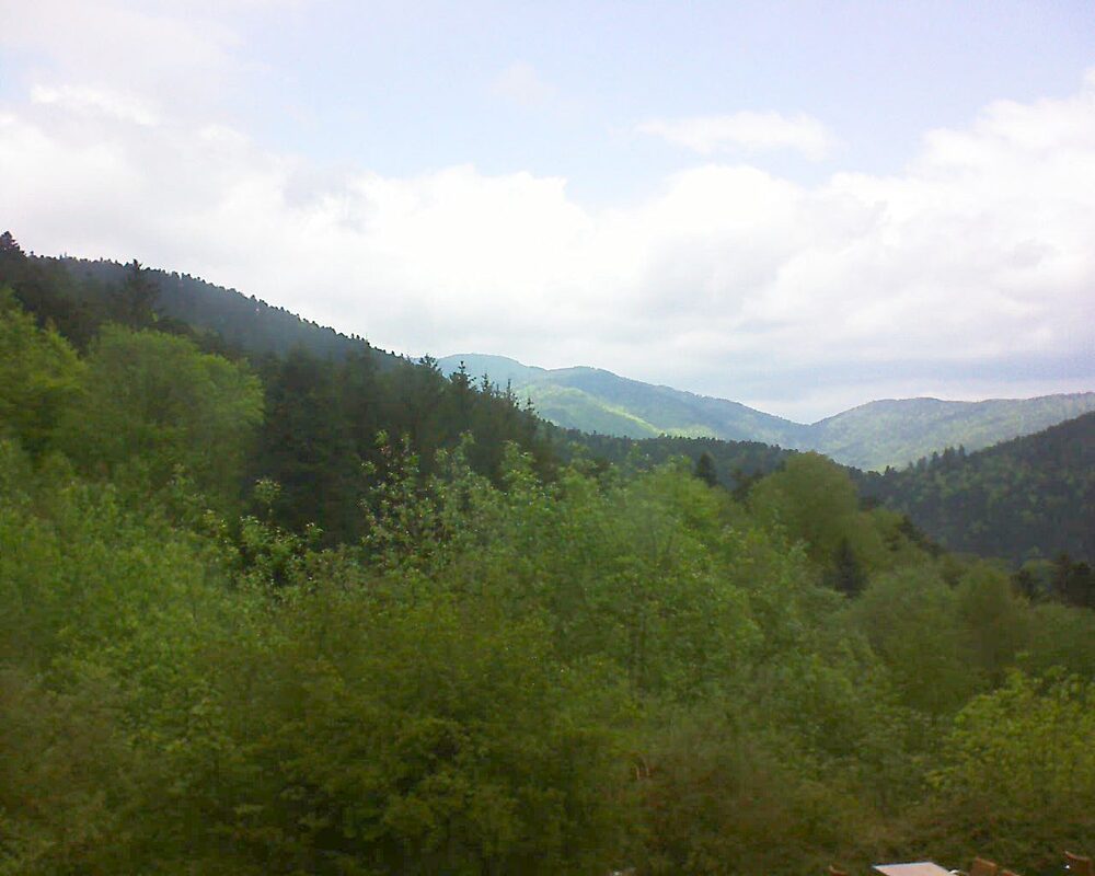 Le petit ballon (Alsace, Vosges) le 08.05.2024 à 13:00