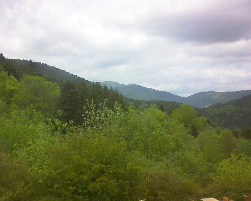 Le petit ballon vu depuis le Domaine Langmatt à Murbach le 08.05.2024 à 15:15 Le petit ballon (Alsace, Vosges) le 08.05.2024 à 15:15
