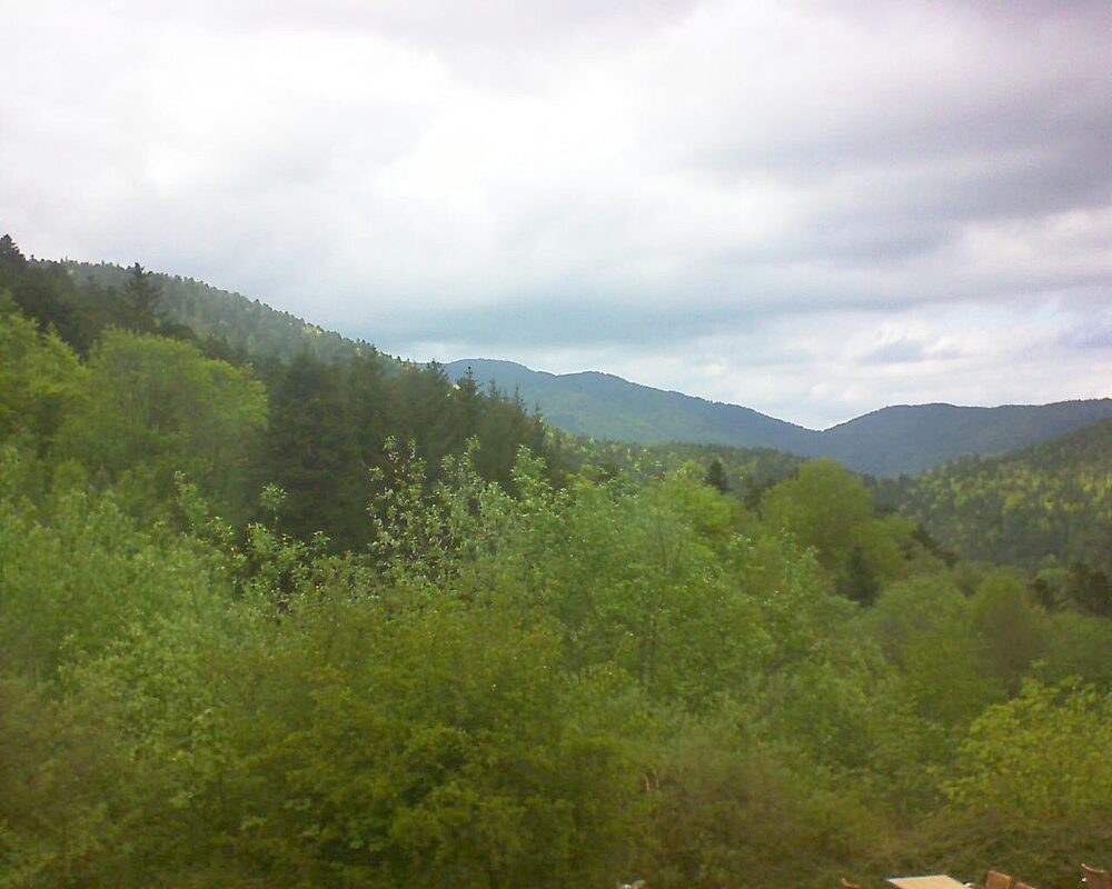 Le petit ballon (Alsace, Vosges) le 08.05.2024 à 16:30