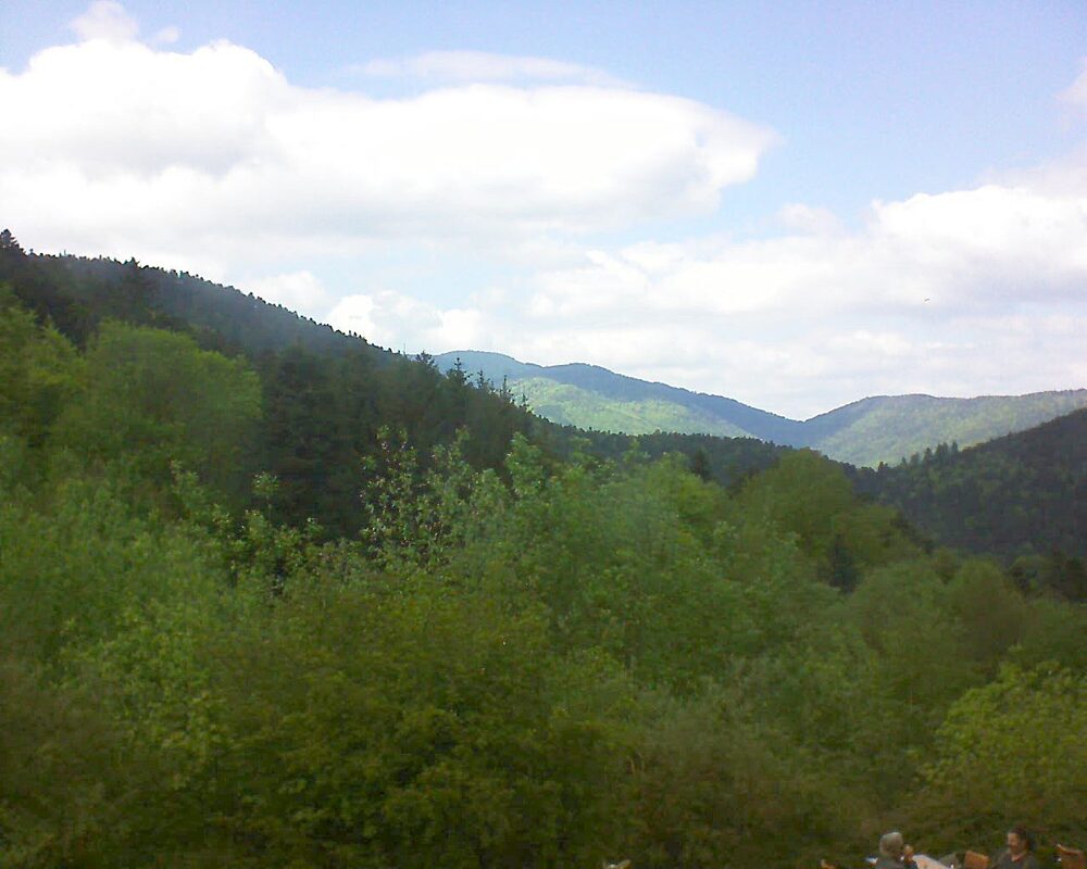 Le petit ballon (Alsace, Vosges) le 09.05.2024 à 15:30