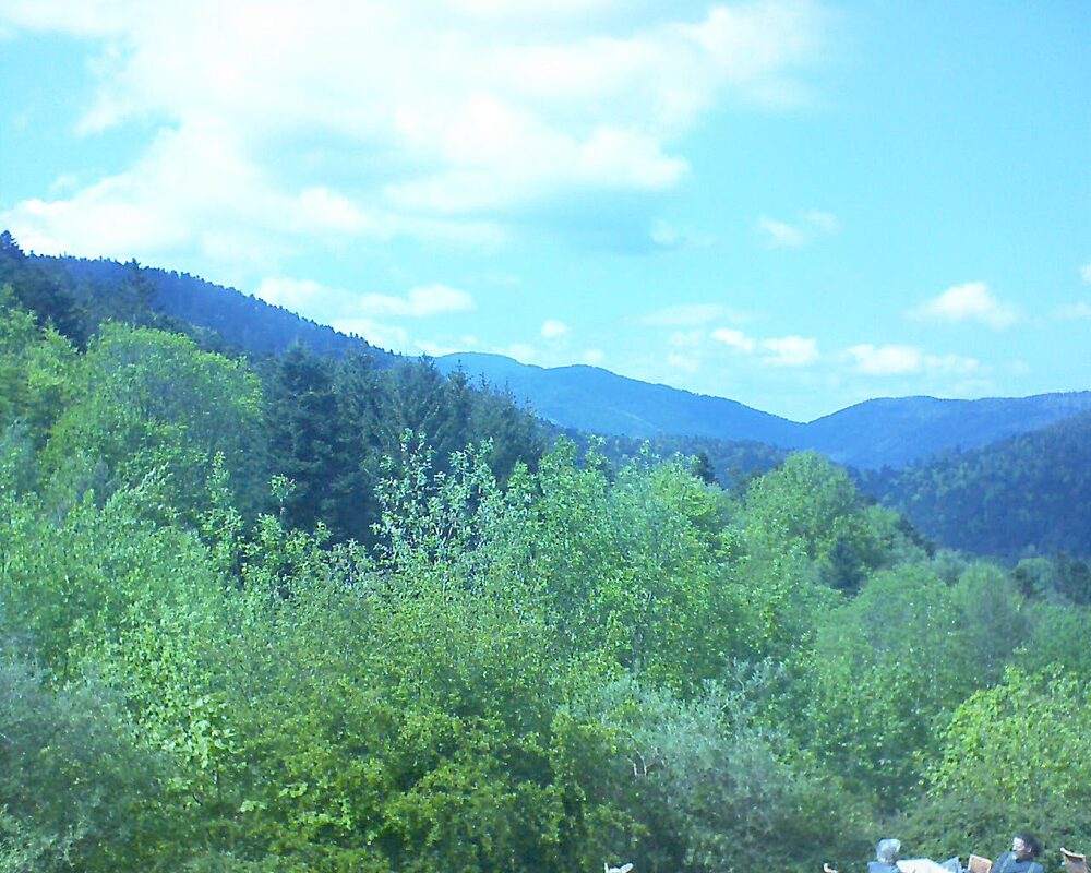 Le petit ballon (Alsace, Vosges) le 09.05.2024 à 15:45