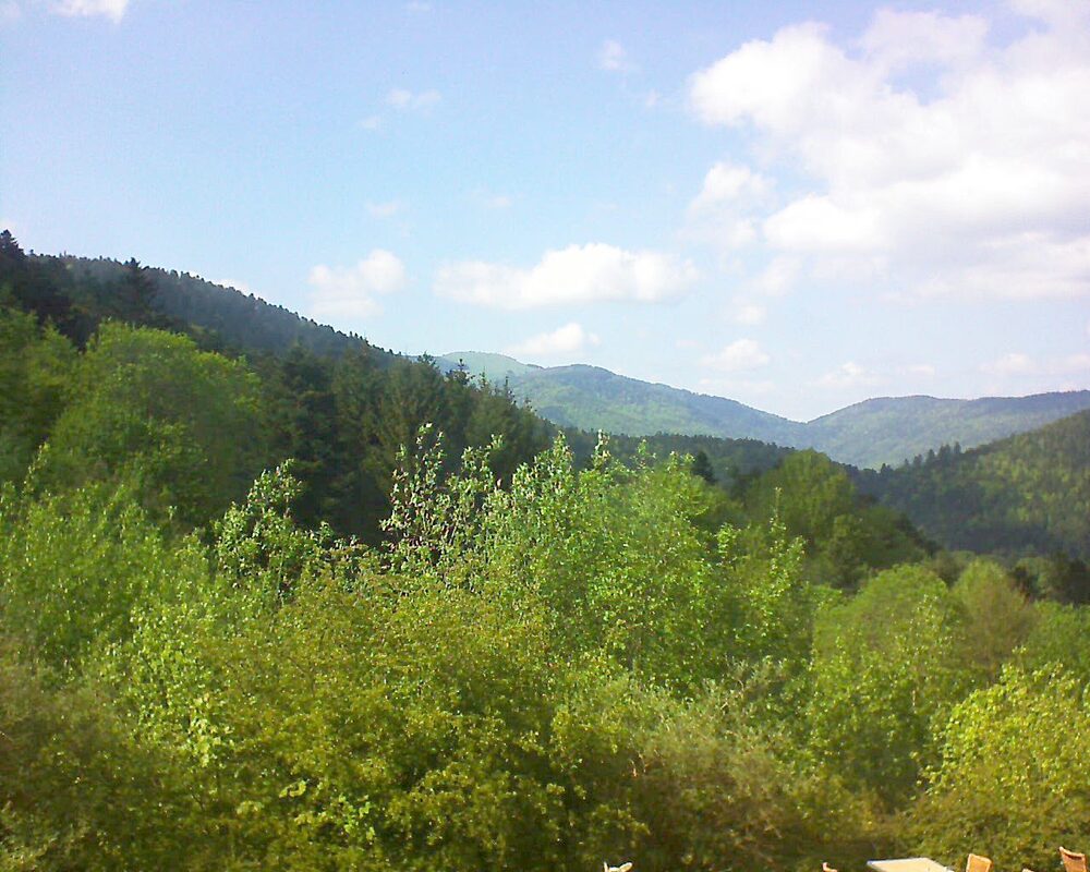 Le petit ballon (Alsace, Vosges) le 09.05.2024 à 16:30