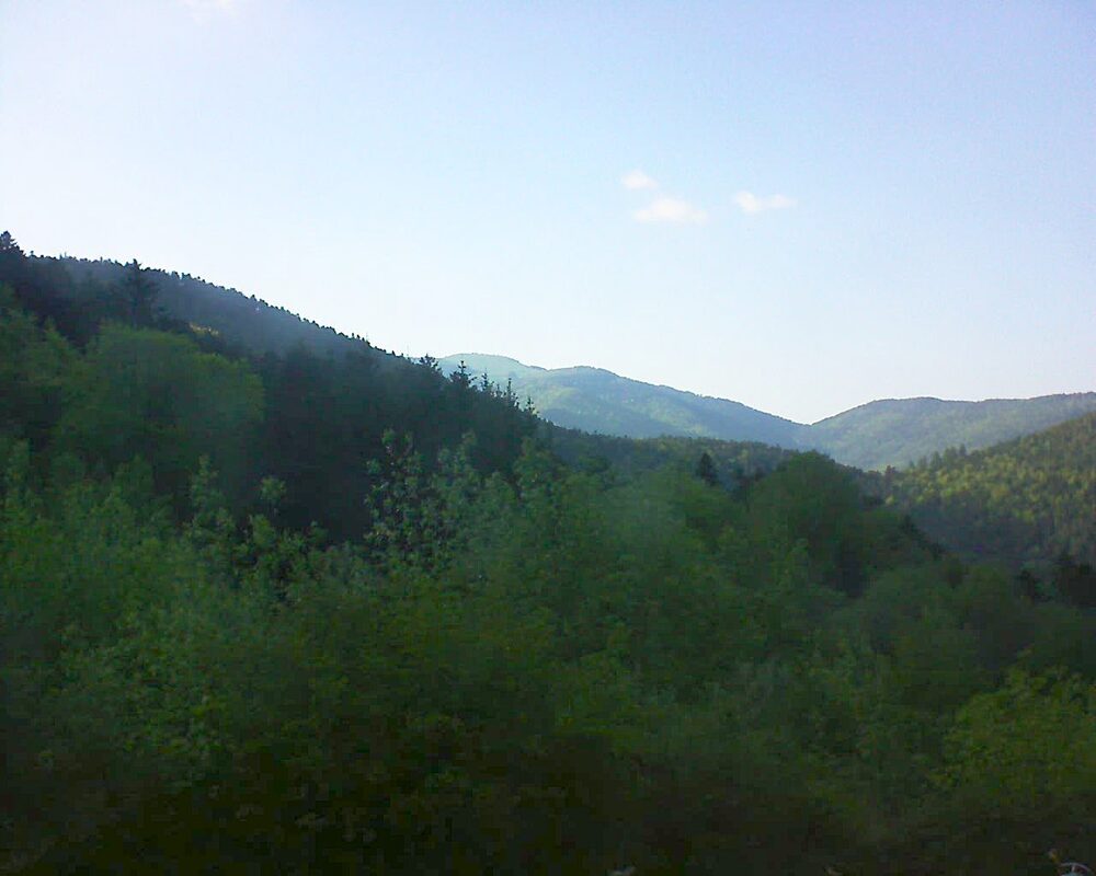 Le petit ballon (Alsace, Vosges) le 09.05.2024 à 18:45