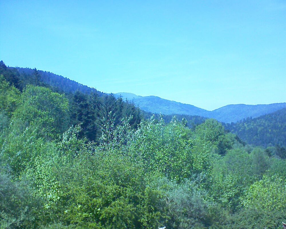 Le petit ballon (Alsace, Vosges) le 10.05.2024 à 15:00