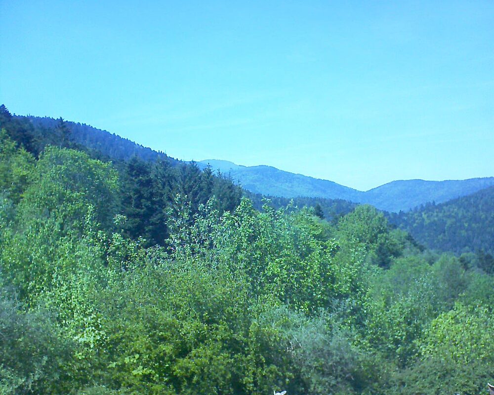 Le petit ballon vu depuis le Domaine Langmatt à Murbach le 10.05.2024 à 15:15 Le petit ballon (Alsace, Vosges) le 10.05.2024 à 15:15