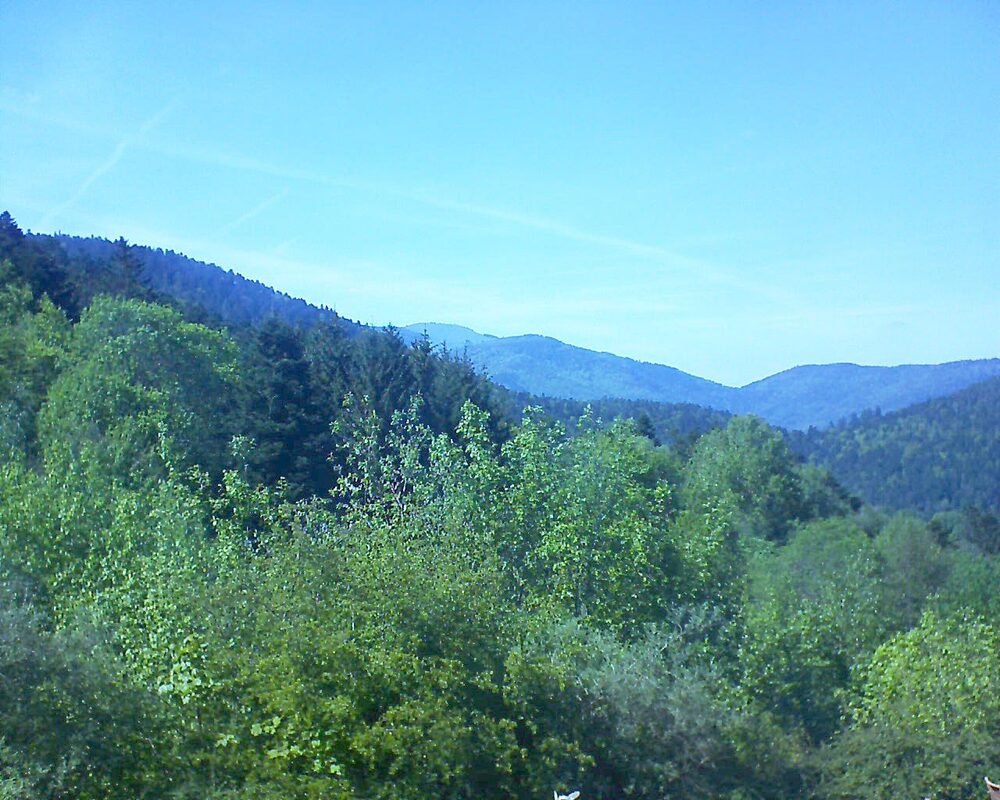 Le petit ballon vu depuis le Domaine Langmatt à Murbach le 10.05.2024 à 16:15 Le petit ballon (Alsace, Vosges) le 10.05.2024 à 16:15