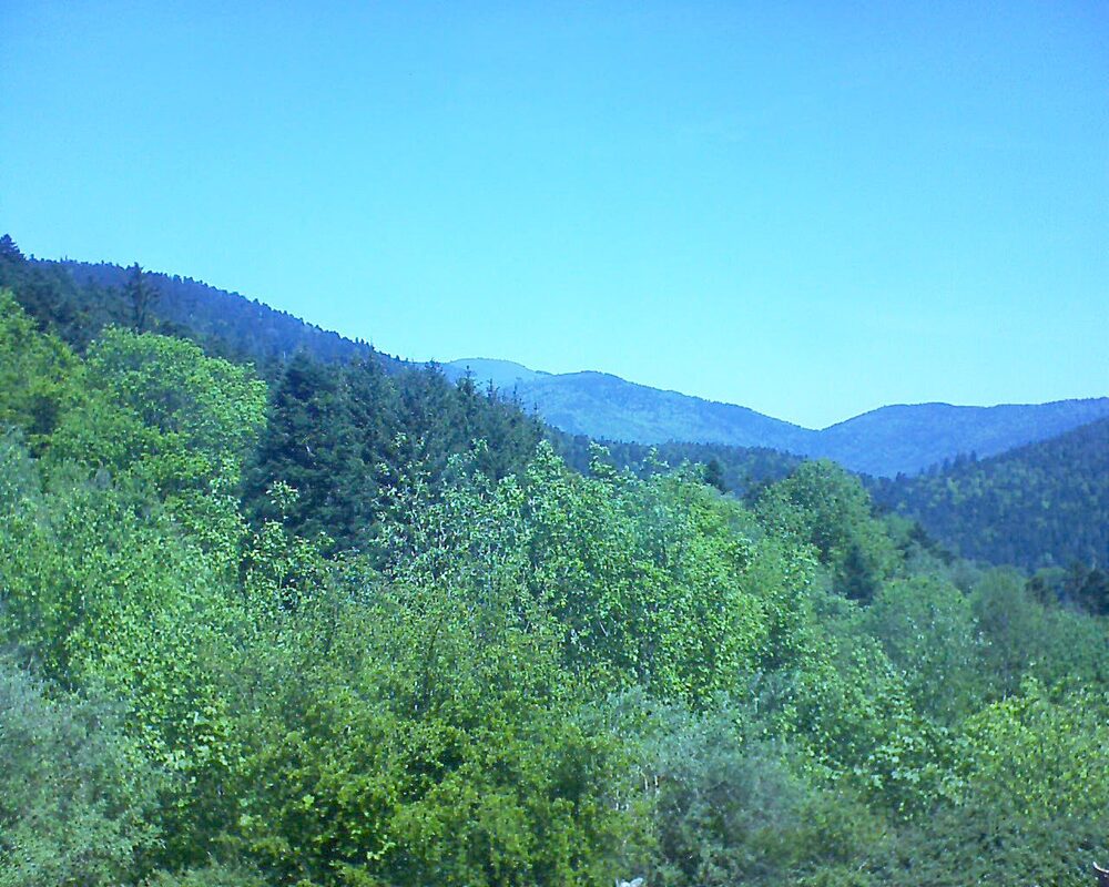 Le petit ballon (Alsace, Vosges) le 11.05.2024 à 12:15