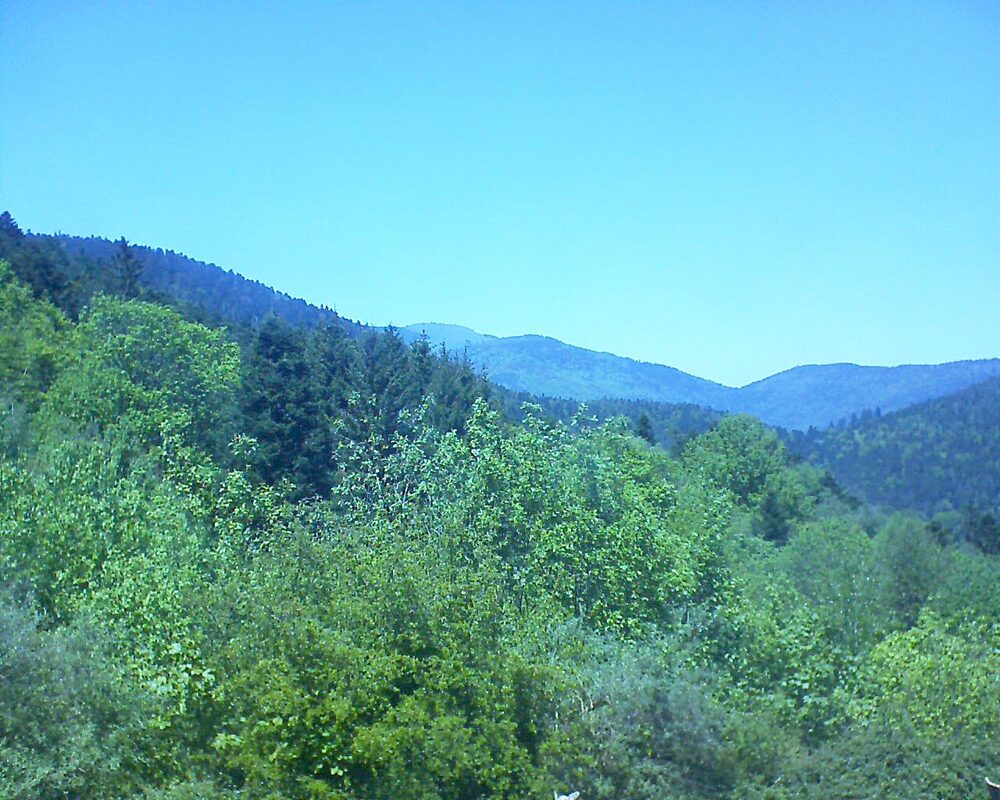 Le petit ballon (Alsace, Vosges) le 11.05.2024 à 14:00