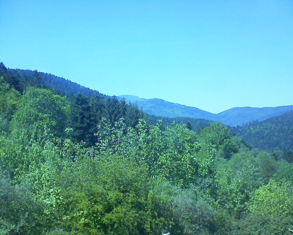 Le petit ballon vu depuis le Domaine Langmatt à Murbach le 11.05.2024 à 15:15 Le petit ballon (Alsace, Vosges) le 11.05.2024 à 15:15