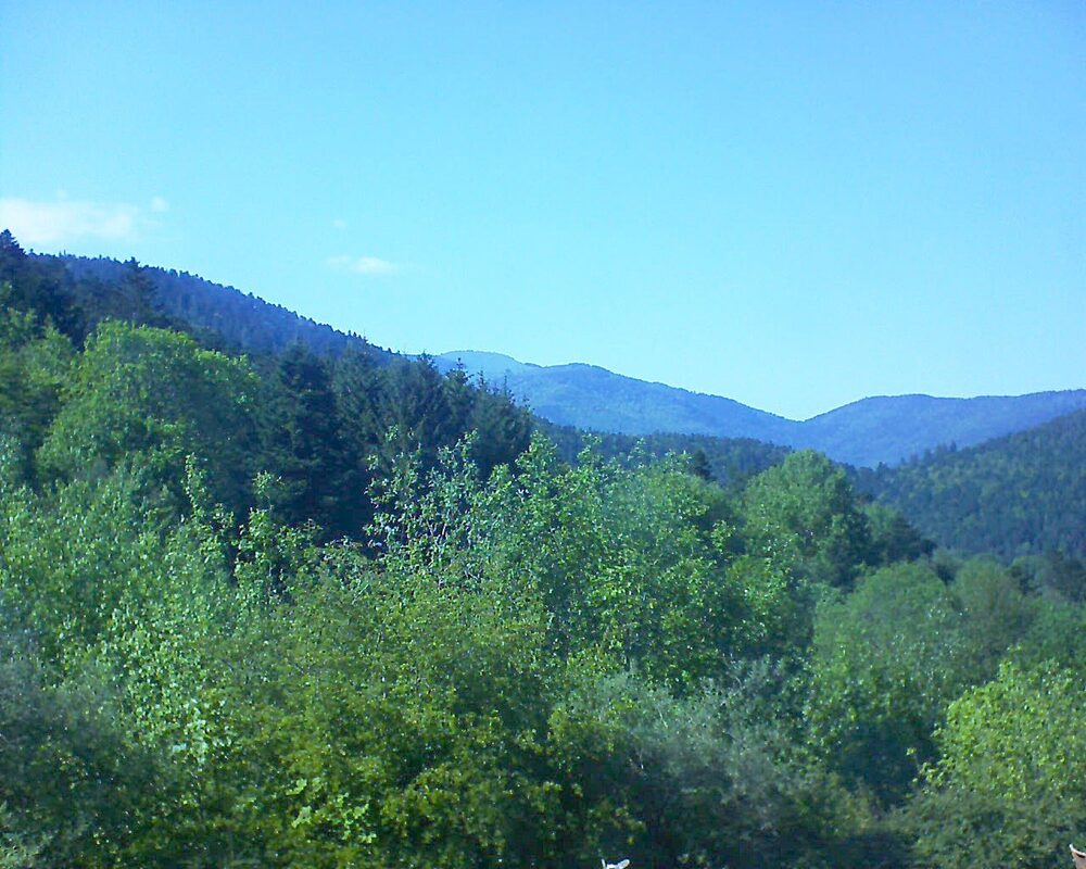 Le petit ballon (Alsace, Vosges) le 11.05.2024 à 16:45