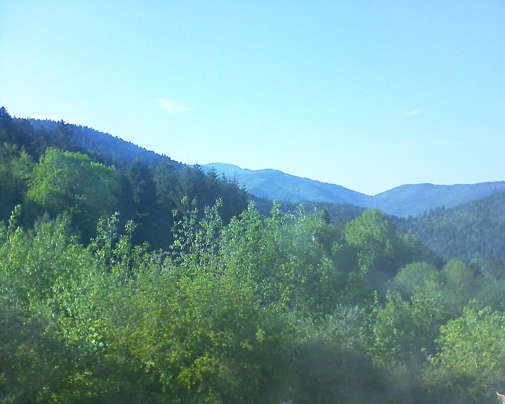 Le petit ballon (Alsace, Vosges) le 11.05.2024 à 18:15