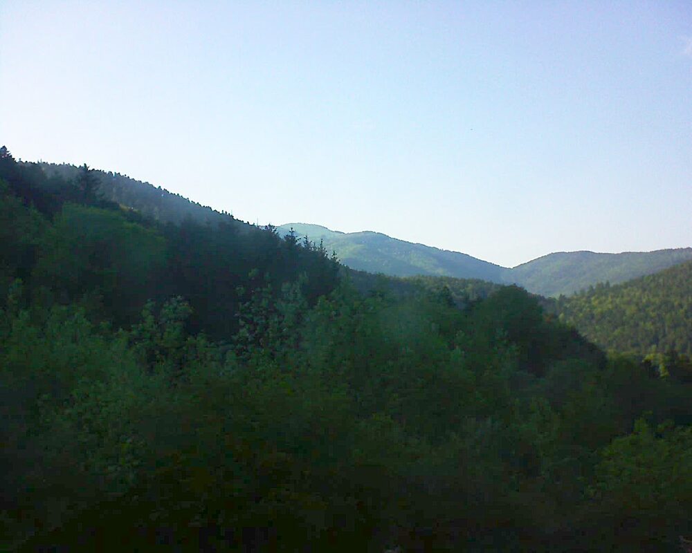 Le petit ballon (Alsace, Vosges) le 11.05.2024 à 18:45