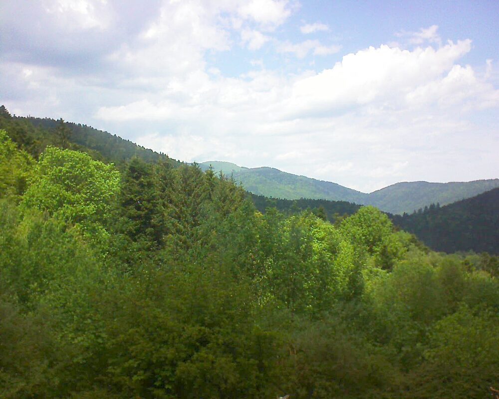 Le petit ballon (Alsace, Vosges) le 12.05.2024 à 13:30