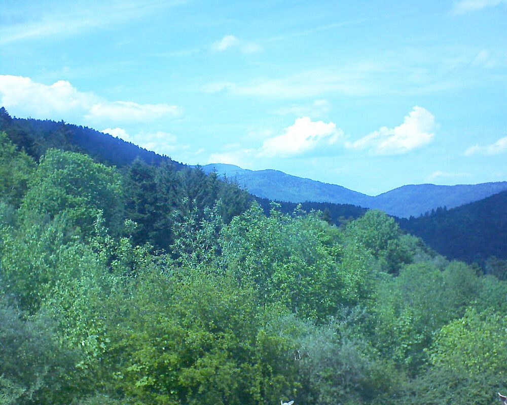 Le petit ballon (Alsace, Vosges) le 12.05.2024 à 15:15