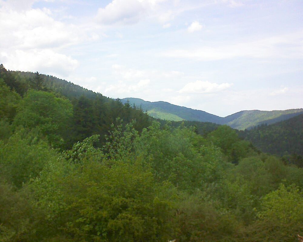 Le petit ballon vu depuis le Domaine Langmatt à Murbach le 12.05.2024 à 15:30 Le petit ballon (Alsace, Vosges) le 12.05.2024 à 15:30