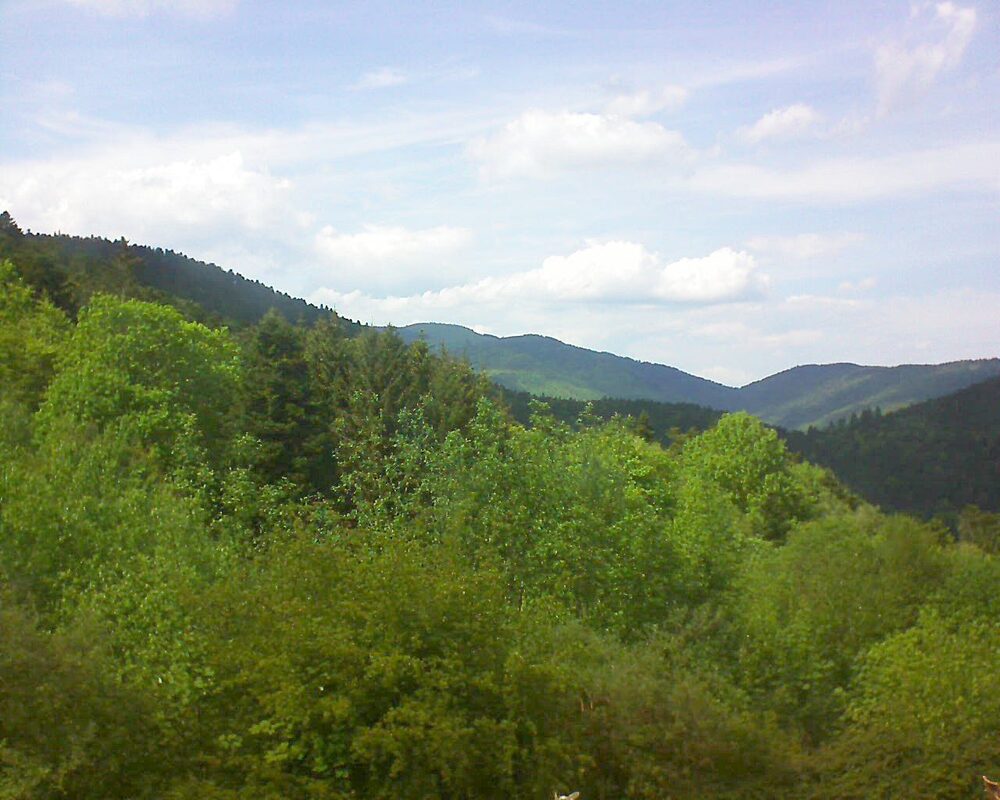 Le petit ballon (Alsace, Vosges) le 12.05.2024 à 15:45