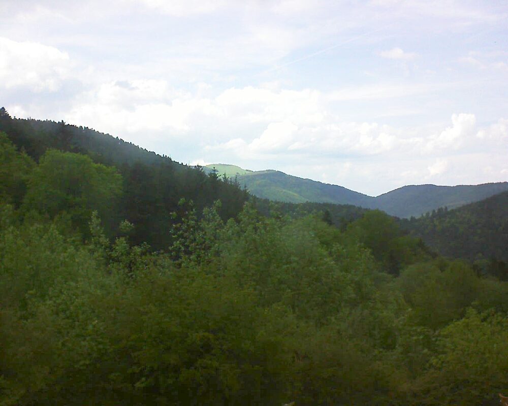 Le petit ballon (Alsace, Vosges) le 12.05.2024 à 16:30