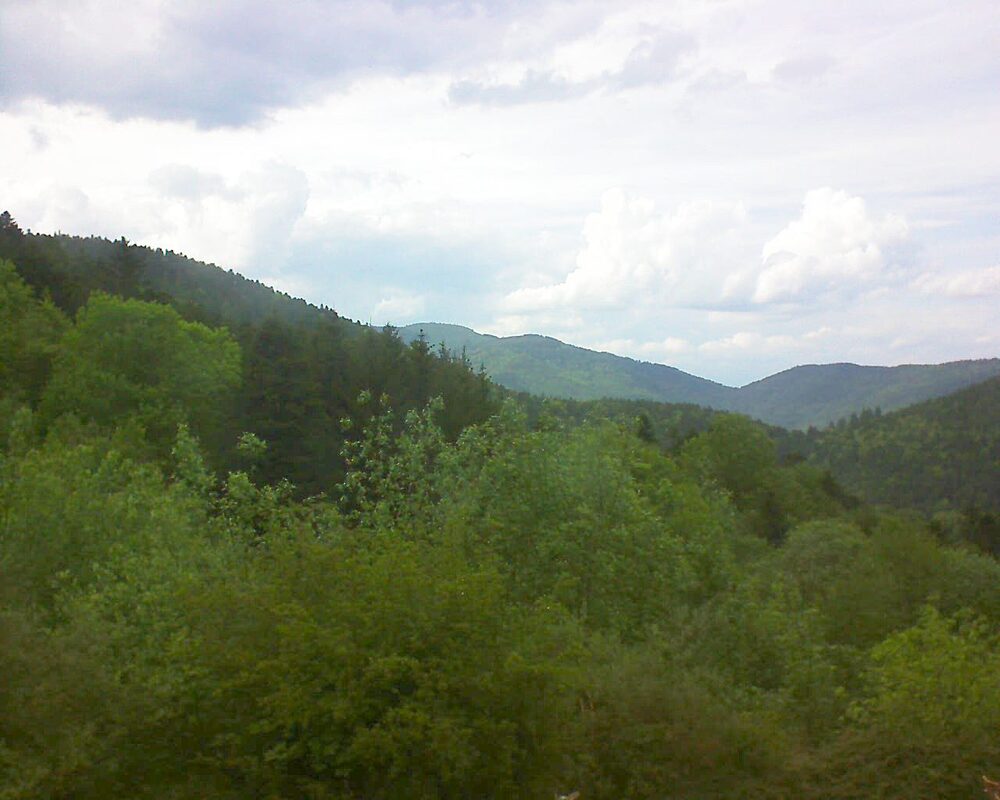 Le petit ballon (Alsace, Vosges) le 12.05.2024 à 17:45