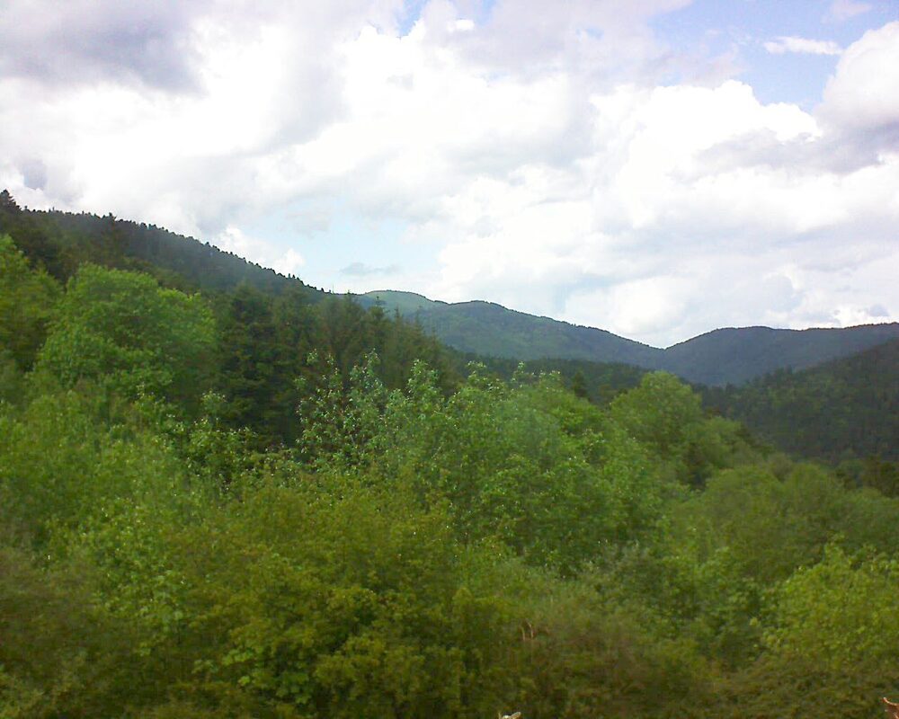 Le petit ballon (Alsace, Vosges) le 13.05.2024 à 15:15