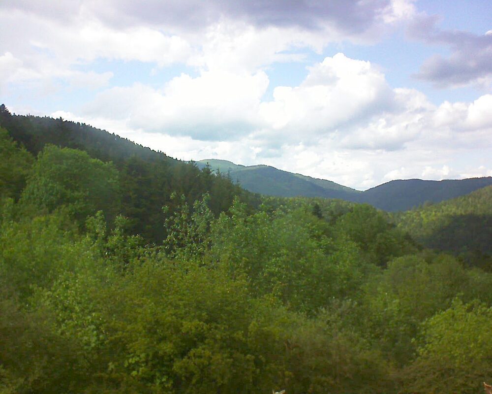 Le petit ballon vu depuis le Domaine Langmatt à Murbach le 13.05.2024 à 16:15 Le petit ballon (Alsace, Vosges) le 13.05.2024 à 16:15