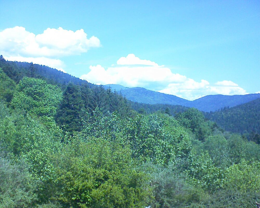 Le petit ballon (Alsace, Vosges) le 14.05.2024 à 12:00