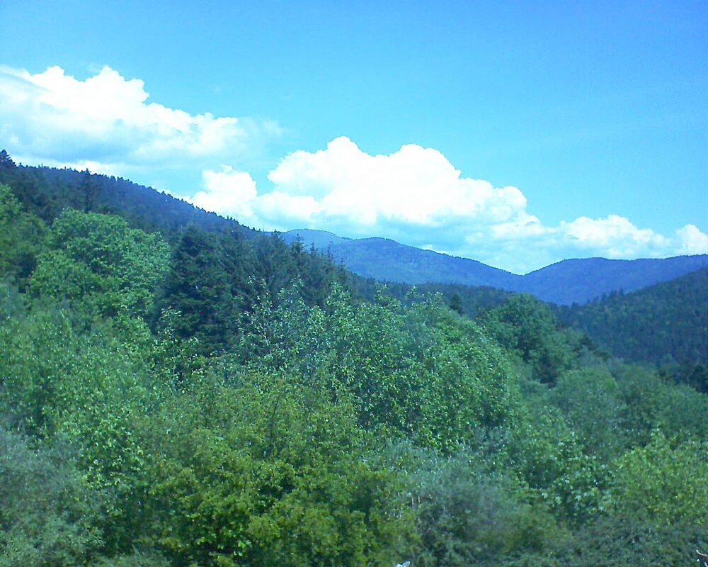 Le petit ballon vu depuis le Domaine Langmatt à Murbach le 14.05.2024 à 12:15 Le petit ballon (Alsace, Vosges) le 14.05.2024 à 12:15
